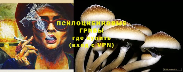 молекула духа Нязепетровск